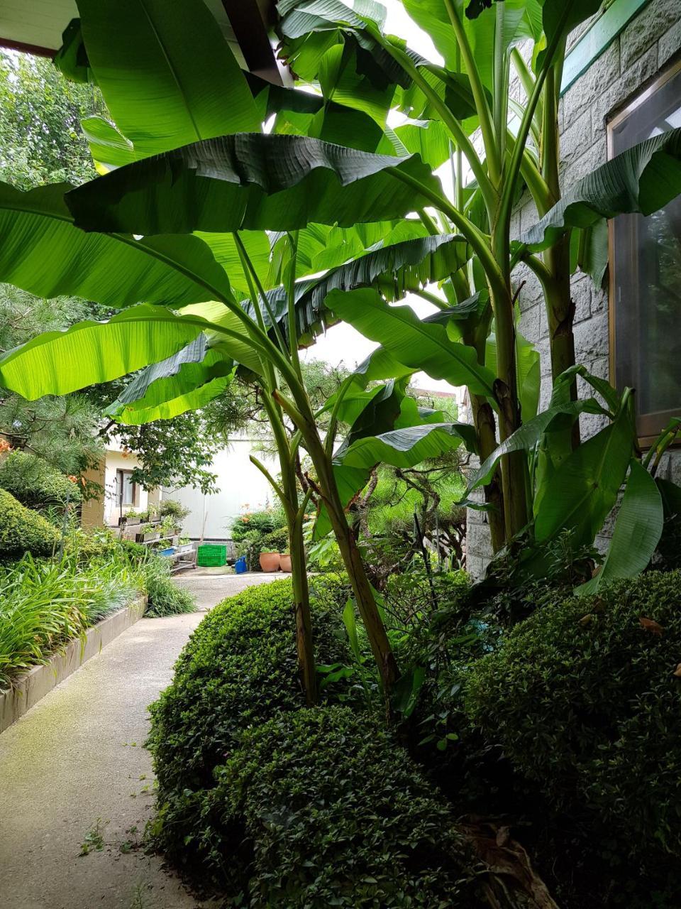 Hotel Jnw Minbak Damyang Exterior foto